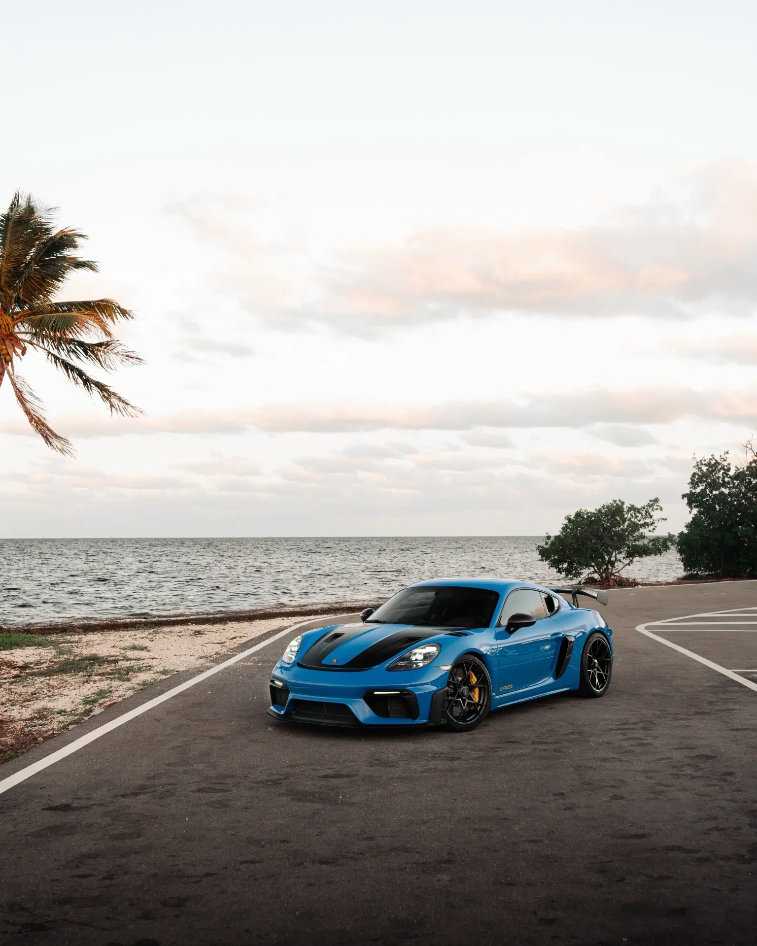 Blue Porsche GT4 RS on a coastal road under a palm tree